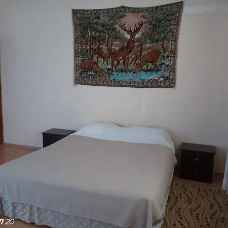 Hzd 旅馆 费特希耶